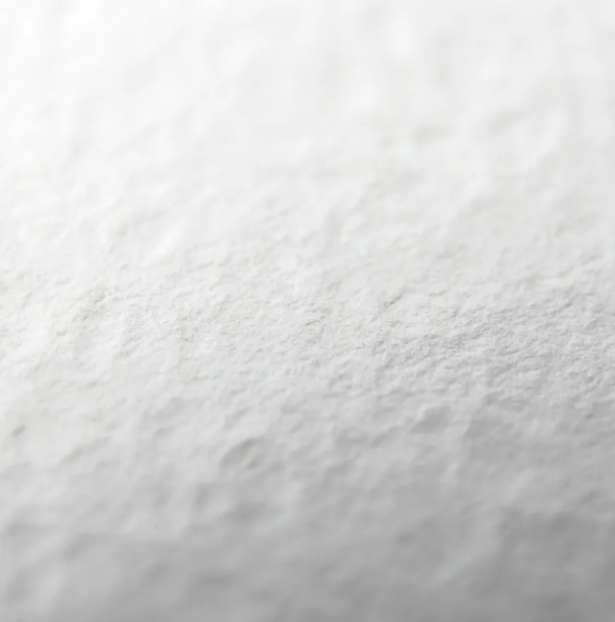 Bloco Aguarela Profissional Winsor & Newton - Grão Grosso