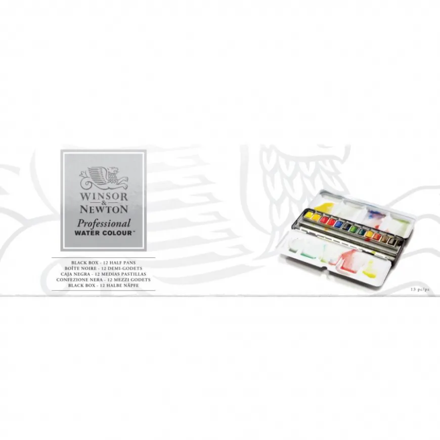 Caixa Aguarela Profissional Winsor & Newton