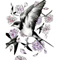Conjunto Ilustração Aguarela Zig