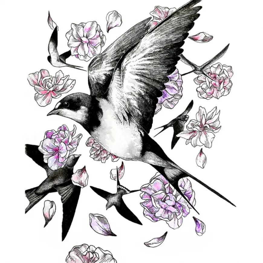 Conjunto Ilustração Aguarela Zig