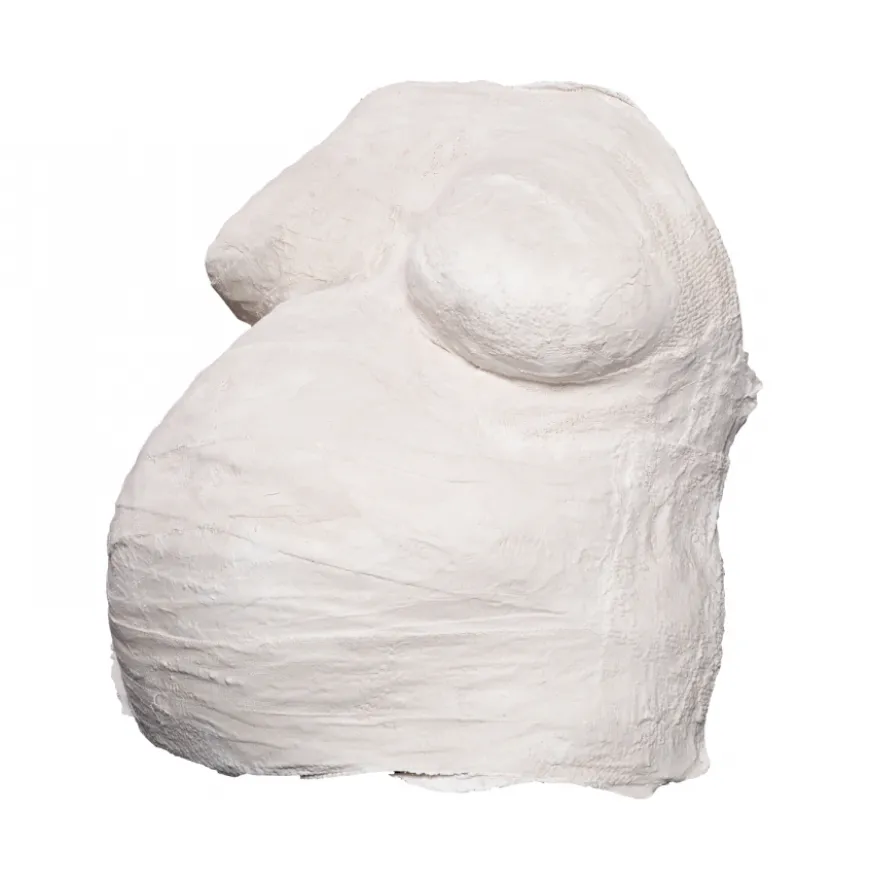 Conjunto Modelador de Gesso para Barriga de Grávida Artidee