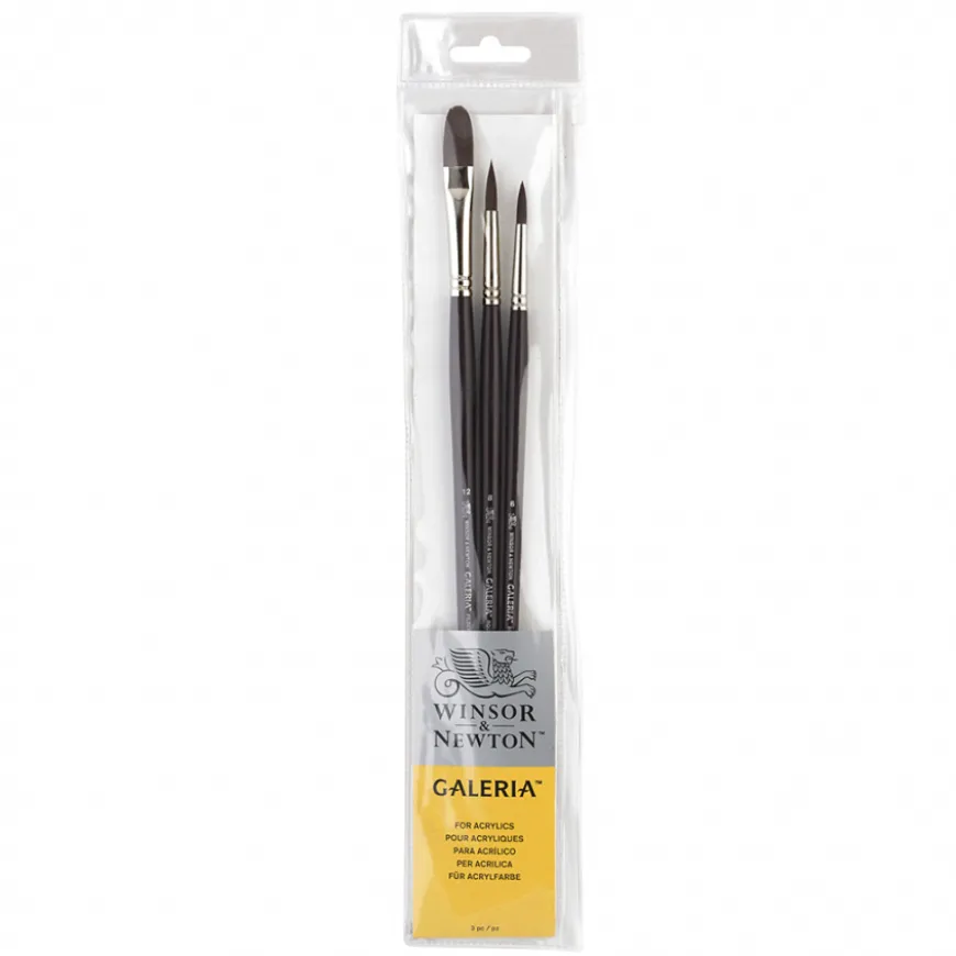 Conjunto Pincéis Galeria Winsor & Newton