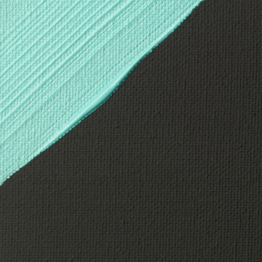 Gesso Preto Liquitex