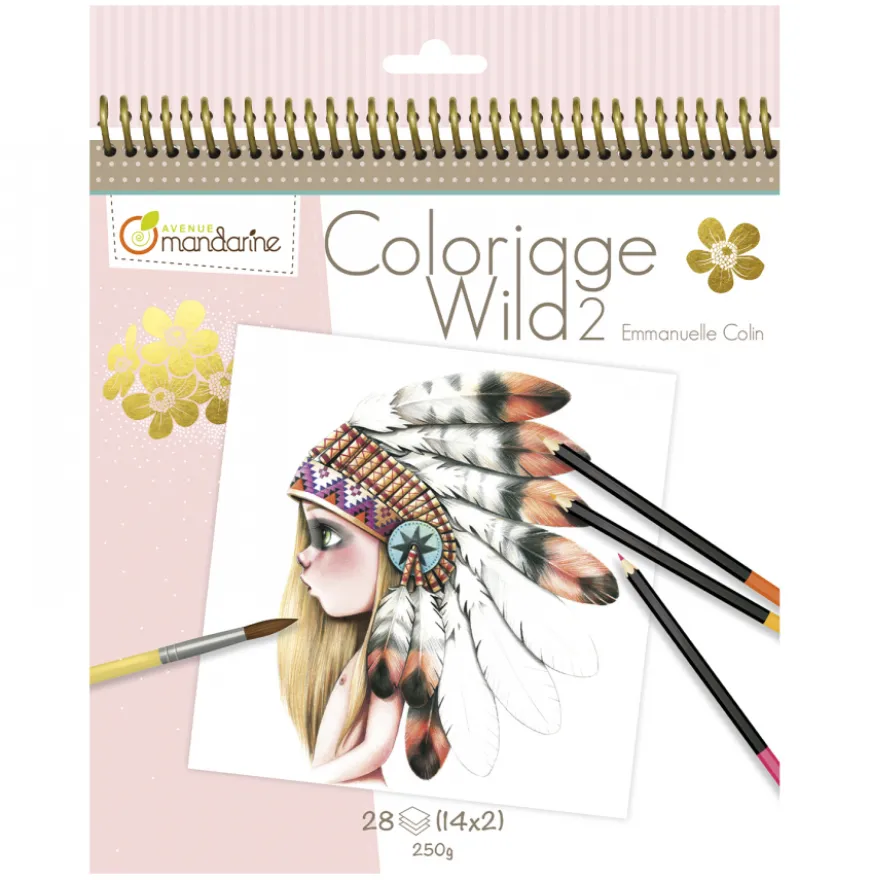 Livro para Colorir Emmanuelle Colin