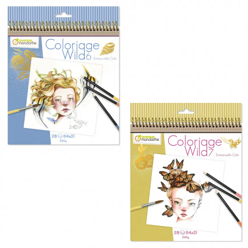 Livro para Colorir Emmanuelle Colin