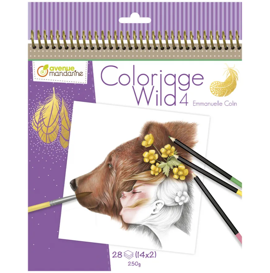 Livro para Colorir Emmanuelle Colin