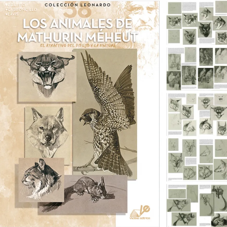 Manual Animais Coleção Leonardo