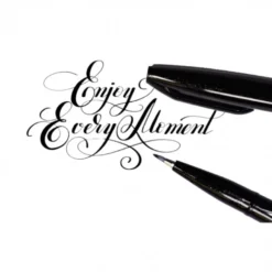Marcador Pincel Sign Pen Touch Pentel