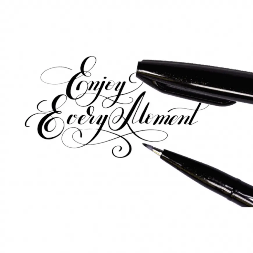 Marcador Pincel Sign Pen Touch Pentel