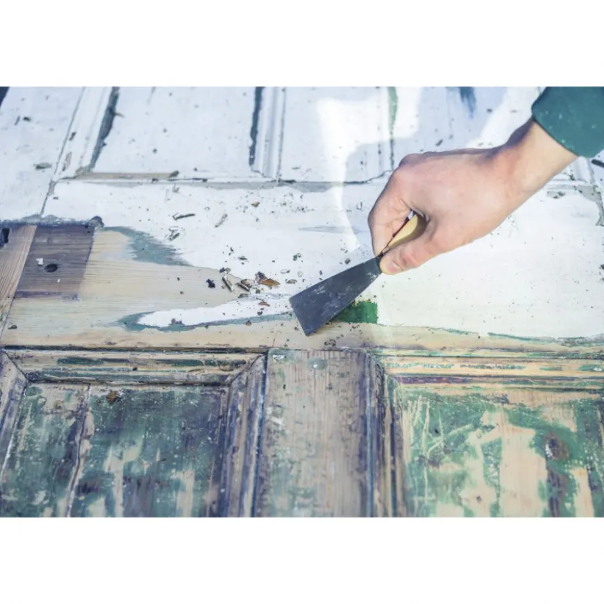 Removedor de Tinta e Verniz Montana Pro